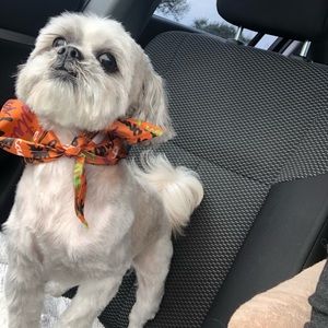 Meet your Posher, Becky